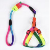 Geschirr + Leine Set für Hund Multicolour 1.8 m M